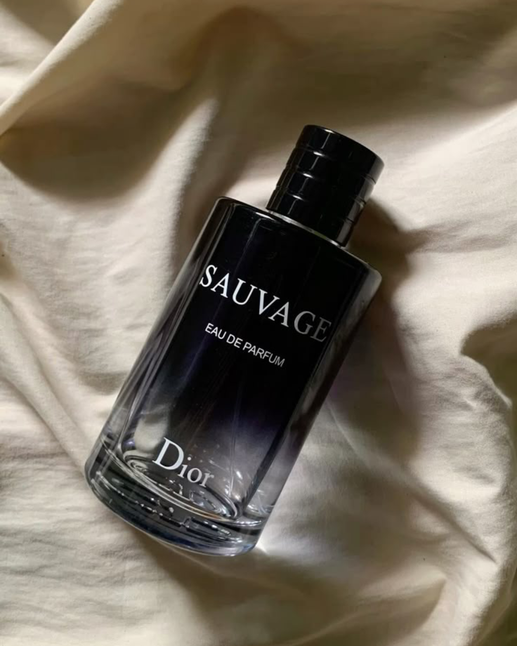 Perfume Dior Sauvage Eau de Parfum 100ml